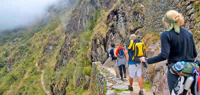 Camino por la Selva Inca
